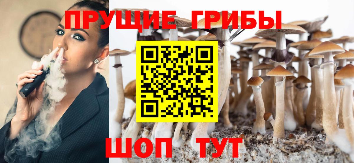 Галлюциногенные грибы мицелий Дубна