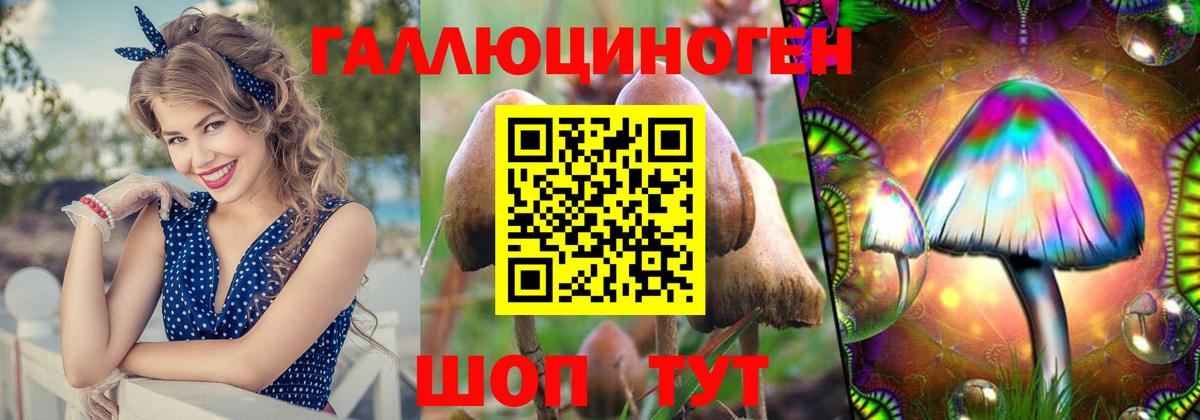 Дубна  Галлюциногенные грибы мухоморы  Вход с VPN 